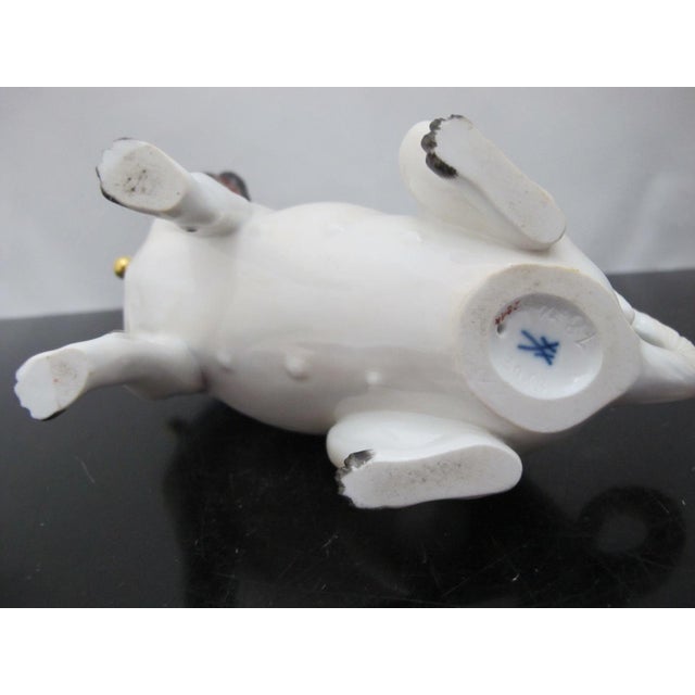 Meissen Porcelain Pug Dog With Blue Collar & Gold Bells Figurine Statue For Sale - Image 9 of 10
