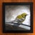 This oil painting captures a solitary bird perched on a slender branch, rendered in soft, muted tones of green and gray....