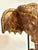 Golden Elephant For Sale - Image 9 of 14