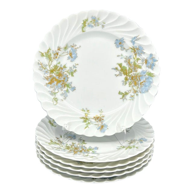 Haviland Limoges Porcelain Plates, Margaux - Set of 6 For Sale