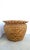 Wicker Basket Plant Cachepot For Sale - Image 4 of 12