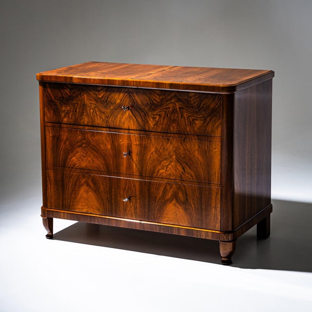 Biedermeier Chest of Drawers, 1830s For Sale - Image 3 of 10