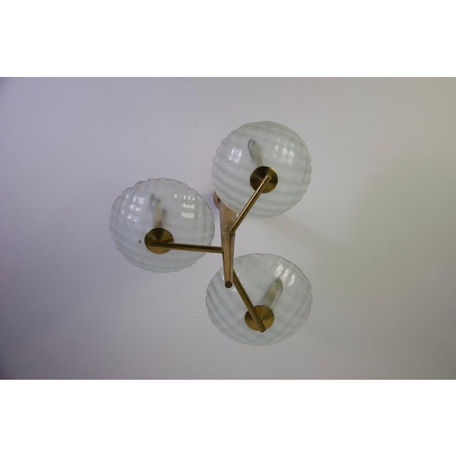 Italian Brass and Glass Chandelier, 1950s For Sale - Image 17 of 18