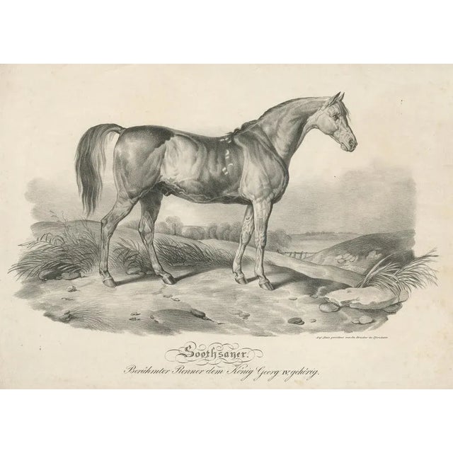 Brucker, Race Horse Soothsayer Belonging to King George IV, Print For Sale - Image 3 of 6