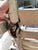Vintage Cottage Porch Swing 1940 - 1960 For Sale - Image 11 of 16