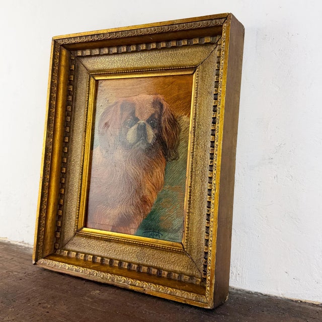 Pekingese Dog Portrait, Oil on Panel, 20th Century, Framed For Sale - Image 3 of 12