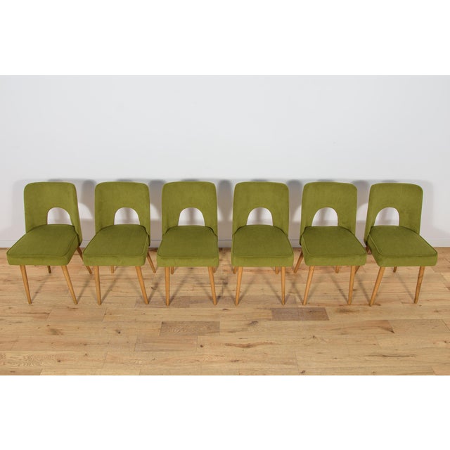Shell Chairs from Bydgoszcz Furniture Factory, 1960s, Set of 6 For Sale - Image 4 of 18