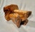 Wood Birdseye Maple Natural Tree Stump Side Accent Table For Sale - Image 7 of 12