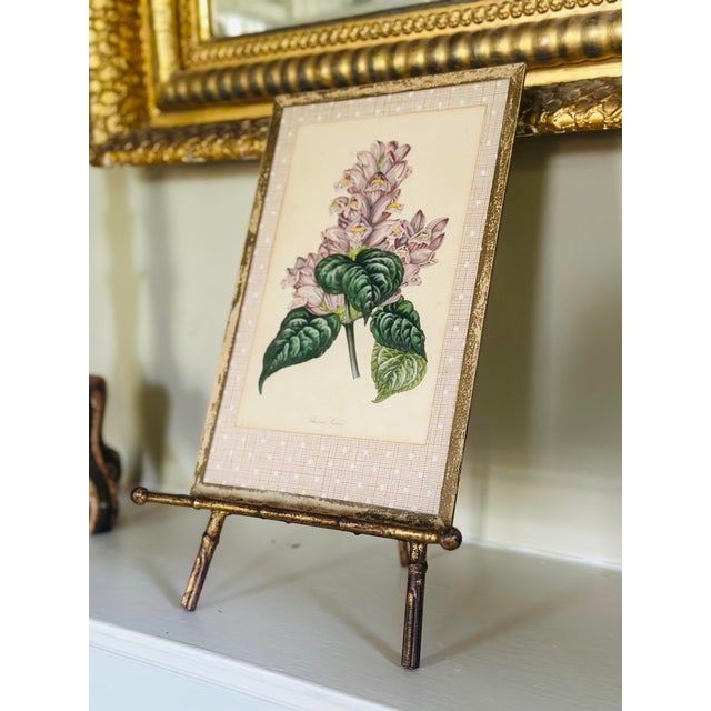 Paper Vintage Botanical Print, Framed For Sale - Image 7 of 7
