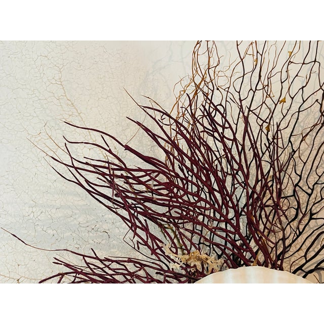 Fabulous Sea Shell Encrusted 4 Ft Wall Mirror For Sale - Image 4 of 6