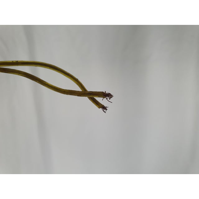 Pendant in Brass and Glass, 1970s For Sale - Image 17 of 18