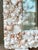 Coastal Large Seashell Mirror for Wall, Shell Mirror for Coastal Luxury Home For Sale - Image 3 of 9