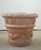 Terra Cotta 19th Century Pair of Terracotta Planters / Jardinieres For Sale - Image 8 of 9
