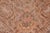 Designed with mesmerizing intricacy and gorgeous color palette, this hand-knotted masterpiece demonstrates the beauty and...