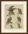 This antique bird print from bertuch's bilderbuch shows six eagles and large birds of prey, among them the white headed...