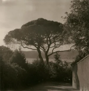 Ugne Pouwell, Lerici 258, 2025, Polaroid Coastal Landscape Photograph