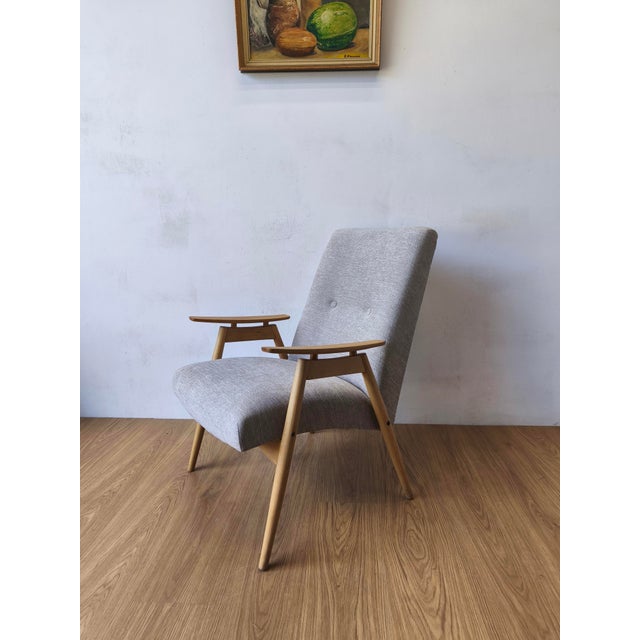 Vintage Lounge Chair by J. Šmidek, 1970s For Sale - Image 10 of 10