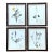 Vintage Botanical Herbarium Prints in Wood Frames - Set of 4 For Sale
