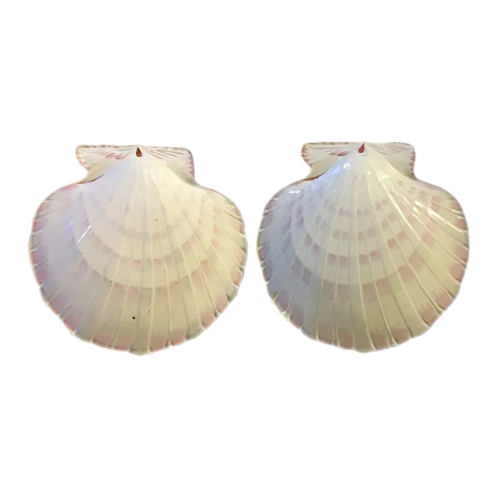 Antique 19th Century Wedgwood Conchology Pearlware Pink Scallop Sea ...
