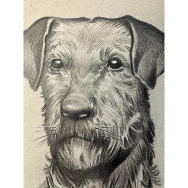 Original graphite pencil drawing by American artist and illustrator Theodore E. Schrock (1879–1952), depicting a head...