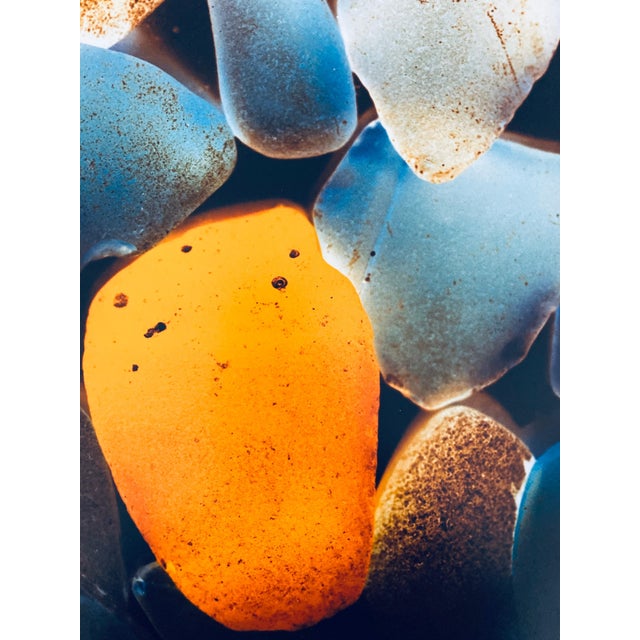 Contemporary Jeffrey Rothstein, Flora Fauna Series Vintage Color Photograph Abstract Flower Fuji Crystal Photo, c.1998 For Sale - Image 3 of 7