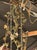 French Antique Iron and Porcelain Flower Chandeliers For Sale In Dallas - Image 6 of 9