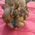 Coastal Vintage Mid-Century Coastal Seashell Mosaic Art Vase For Sale - Image 3 of 3