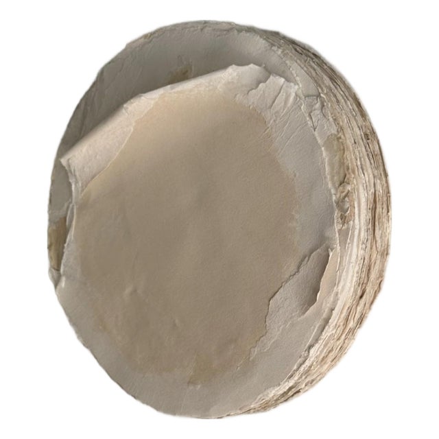 Silvia De Marchi, Tondo Tinto — Sculptural Paper Relief, Contemporary Wall Art For Sale