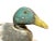 Green American Antique Mallard Duck Hunting Decoy All Original Paint With Glass Eyes For Sale - Image 8 of 9