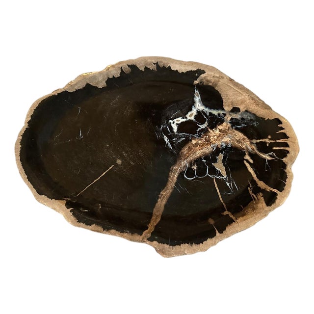 Andrianna Shamaris Petrified Wood Shallow Dish For Sale