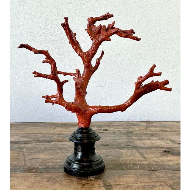Vintage Faux Coral Branch For Sale - Image 12 of 12