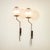 Wall Lamps Mod. Lp11 by Luigi Caccia Dominioni for Azucena, 1958, Set of 2, in Good conditions. Designed 1950 to 1959 I...