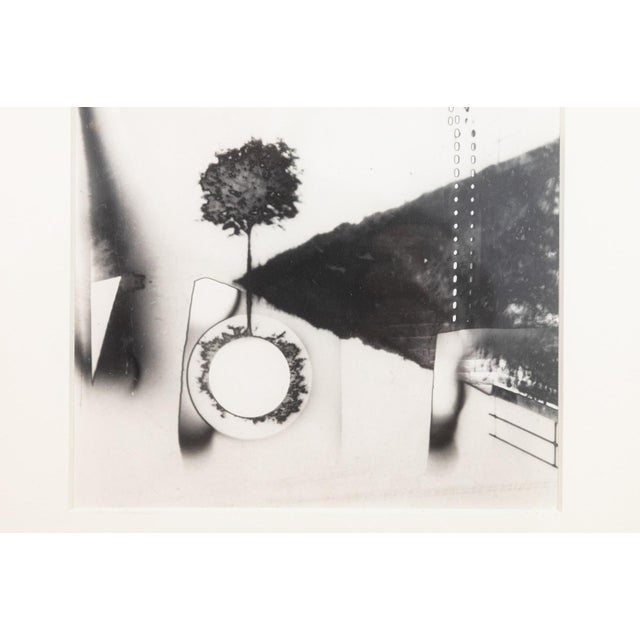 1960s Jaroslav Rossler - C. 1964 Silver Gelatin Print - Prague House of Photography 1991 For Sale - Image 5 of 5