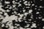 Rug & Kilim Rug & Kilim’s Abstract Rug in Black With White Painterly Patterns – “Milky Way” For Sale - Image 4 of 8