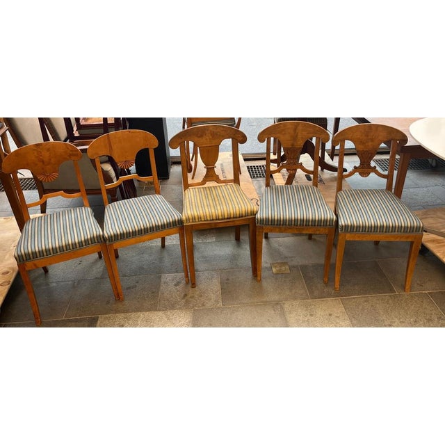 Swedish Biedermeier Dining Chairs in Flame Golden Birch, 1920s, Set of 8 For Sale - Image 6 of 9