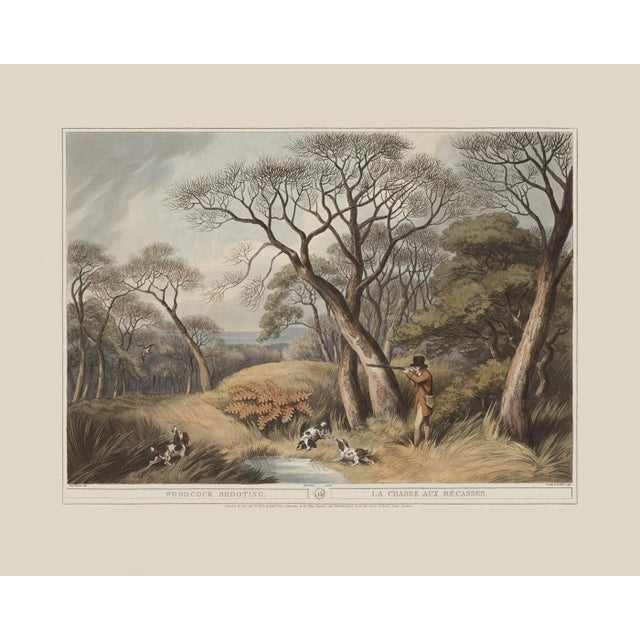 Woodcock Shooting- Giclee Print From British Field Sports For Sale