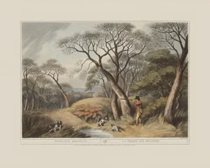 Woodcock Shooting- Giclee Print From British Field Sports