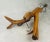 Rustic Folk Art Freeform Wooden Tree Branch Lamp For Sale - Image 12 of 12