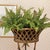 100% realistic a perfect copy of your favorite greens. These dropins are nohassle works of art. Right down to the...