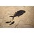 Contemporary Fossil Fish Mural 4004gm From the Green River Formation, Wyoming For Sale - Image 3 of 5