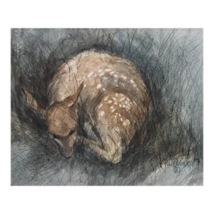 Contemporary Sleeping Fawn Watercolor Painting