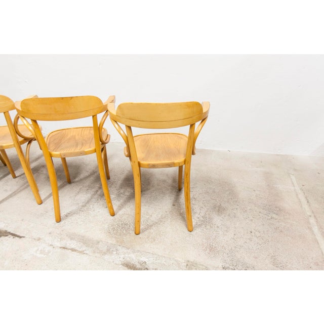 Set of 4 Scandinavian bistro armchair chairs from the 60s. They have a golden honey color and are in superb condition....