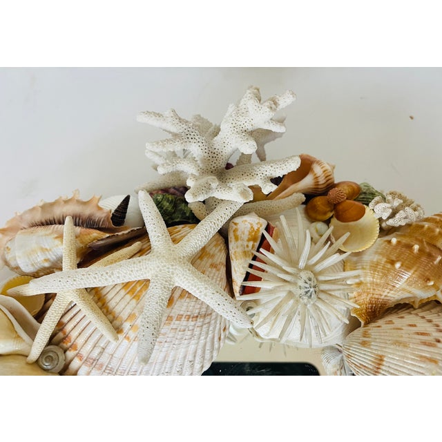 Fabulous Sea Shell Oval Mirror For Sale - Image 4 of 5
