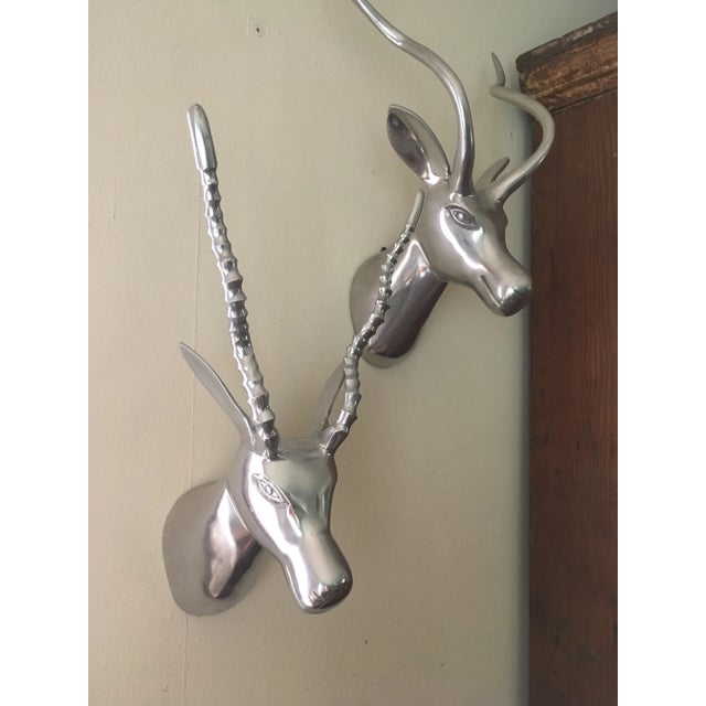 Wall Mounted Metal Heads/Horns a Pair Chairish