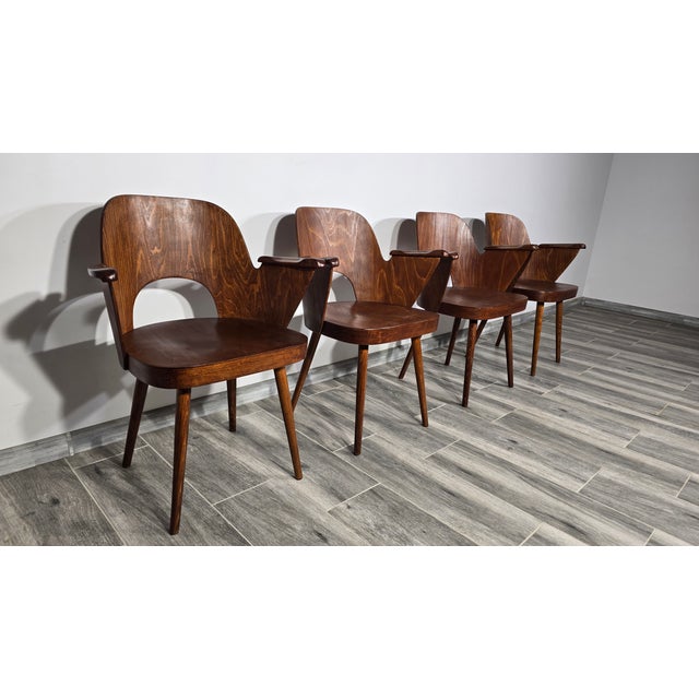 Dining Chairs by Oswald Haerdtl for Ton, 1950s, Set of 4 For Sale - Image 13 of 18