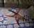 Mid-Century Danish Coffee Table in Teak with Circular Glass Top, 1960s For Sale - Image 10 of 11