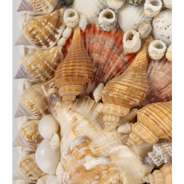 20th Century Shell Mirror For Sale - Image 5 of 9