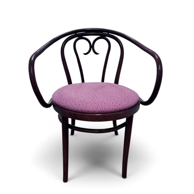 Pair of Bentwood Armchairs in the Style of Thonet For Sale In Saint Louis - Image 6 of 14