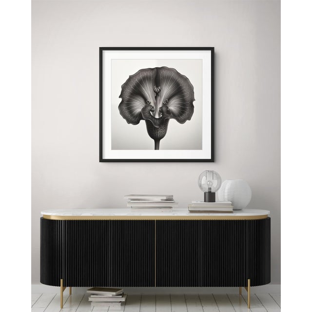 A striking black-and-white botanical print featuring Sarracenia Flower, meticulously restored and remastered from an...