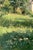 Paper French Country Impressionist Landscape Art Print – Cottage Garden, 10" X 13" For Sale - Image 7 of 9